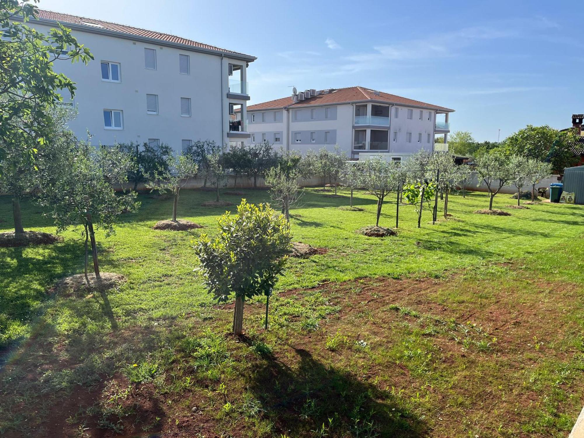 Apartments M&M Terzic Poreč Exterior foto